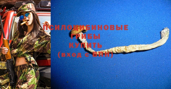 PSILOCYBIN Абдулино
