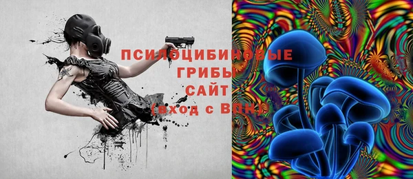PSILOCYBIN Абдулино