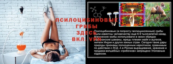 apvp Покачи