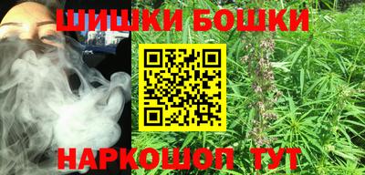 a pvp Гатчина