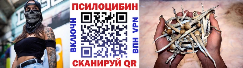 KRAKEN ССЫЛКА  darknet состав  Псилоцибиновые грибы GOLDEN TEACHER  закладки  Каменка 