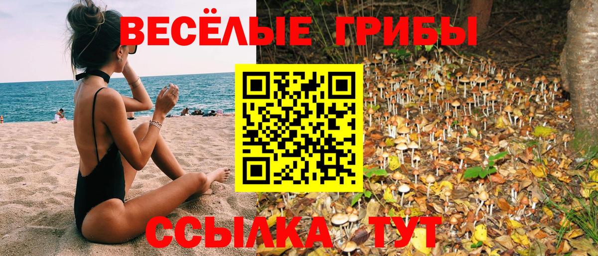 Псилоцибиновые грибы ЛСД  Вход с VPN  Галлюциногенные грибы Cubensis  Каменка 